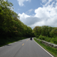Illustration for article titled Ride the Sky: A Motorcycle Ride on Skyline Drive